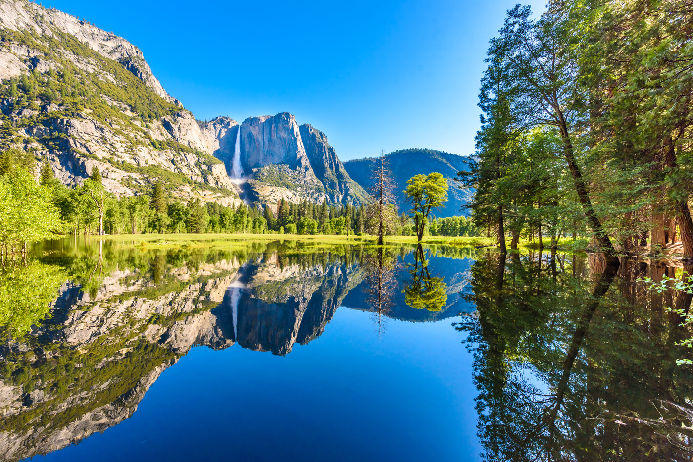 Ecology Image